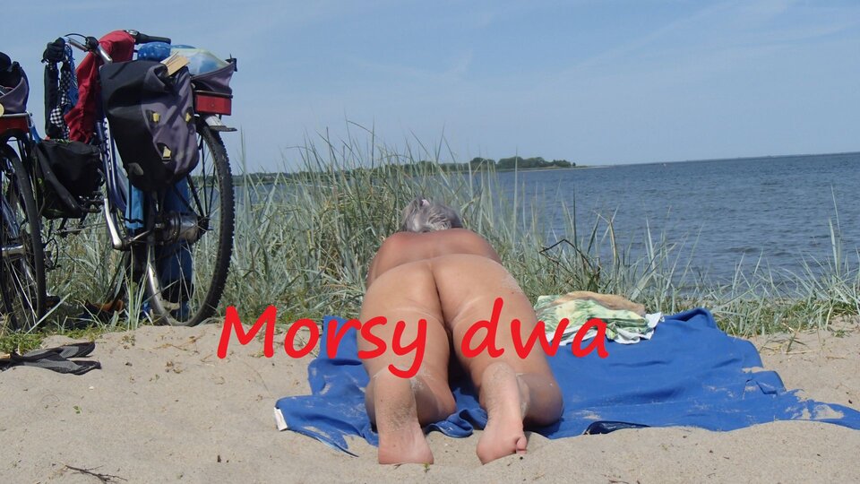 Nad zatoką Pucką. - Morsy_dwa