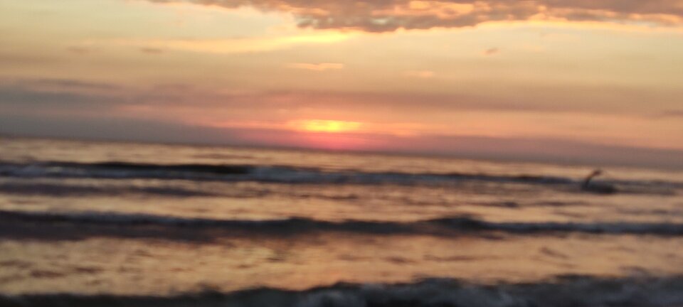 IMG_20230716_042831.jpg - edytkaandrzej