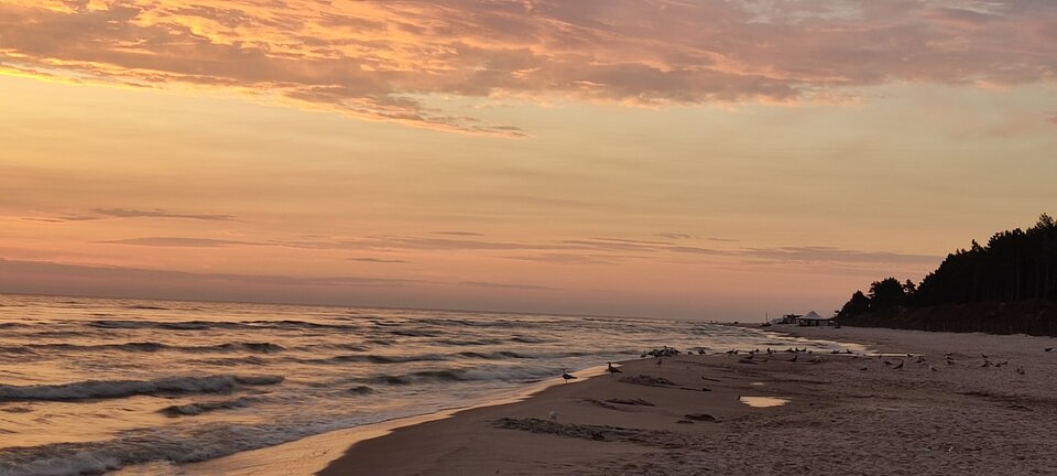 IMG_20230716_042906.jpg - edytkaandrzej