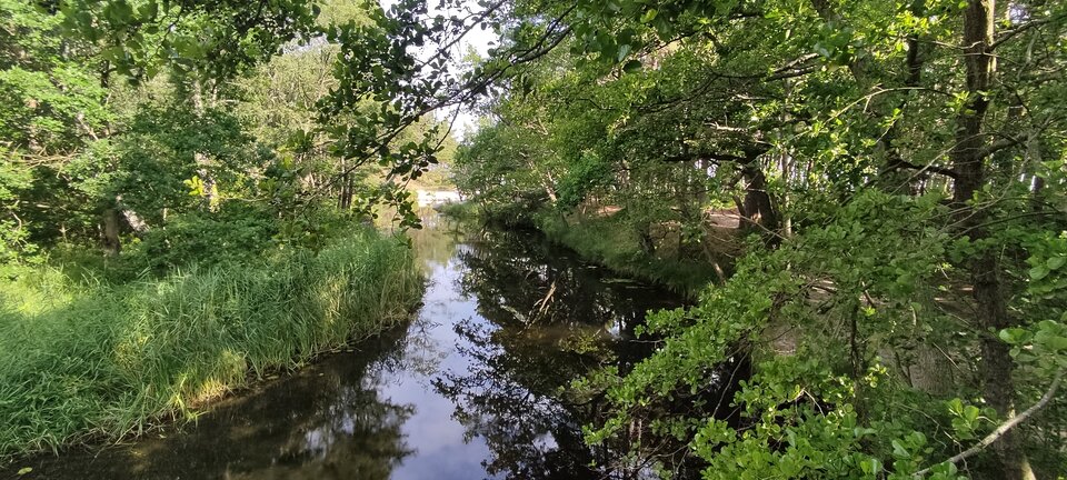 IMG_20230715_090402.jpg - edytkaandrzej