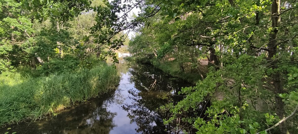 IMG_20230715_090401.jpg - edytkaandrzej