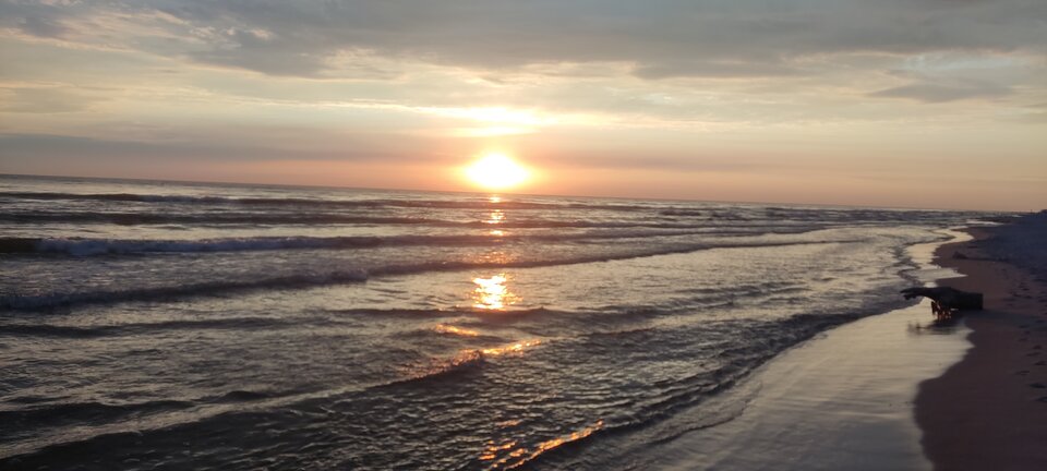 IMG_20230716_045211.jpg - edytkaandrzej