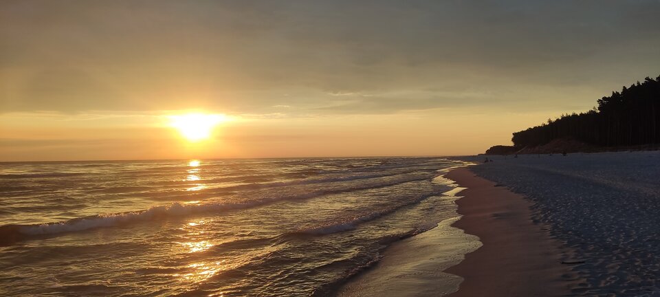 IMG_20230716_050528.jpg - edytkaandrzej