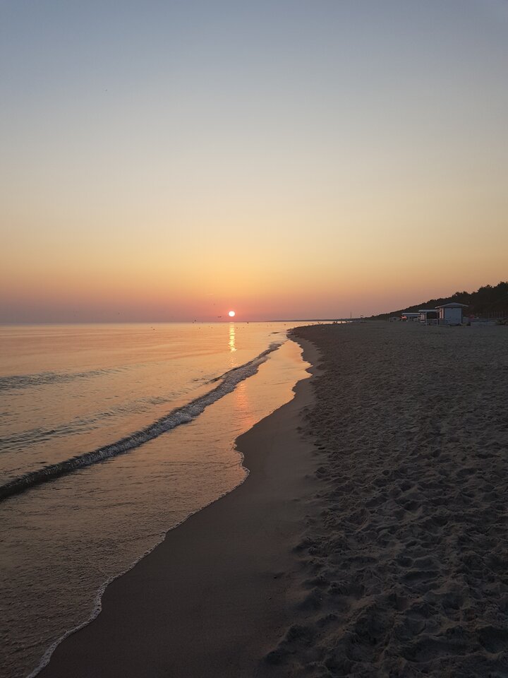 20220721_044651.jpg - harryraider