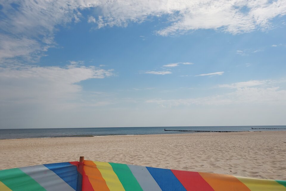 20230716_100729.jpg - Reksiki