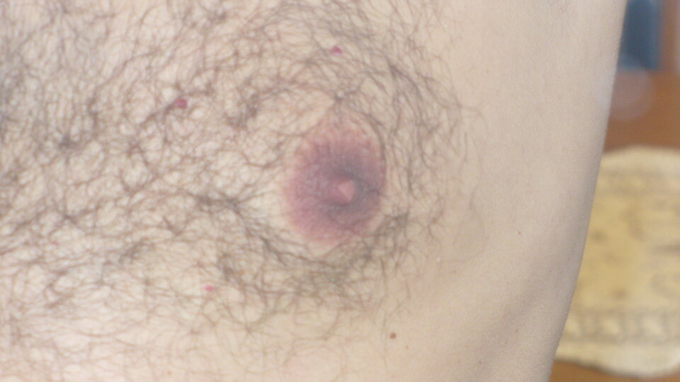 P1100076.JPG - ttom70