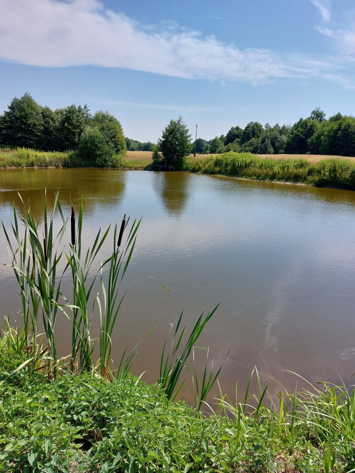 20230716_110402.jpg - Mybi40