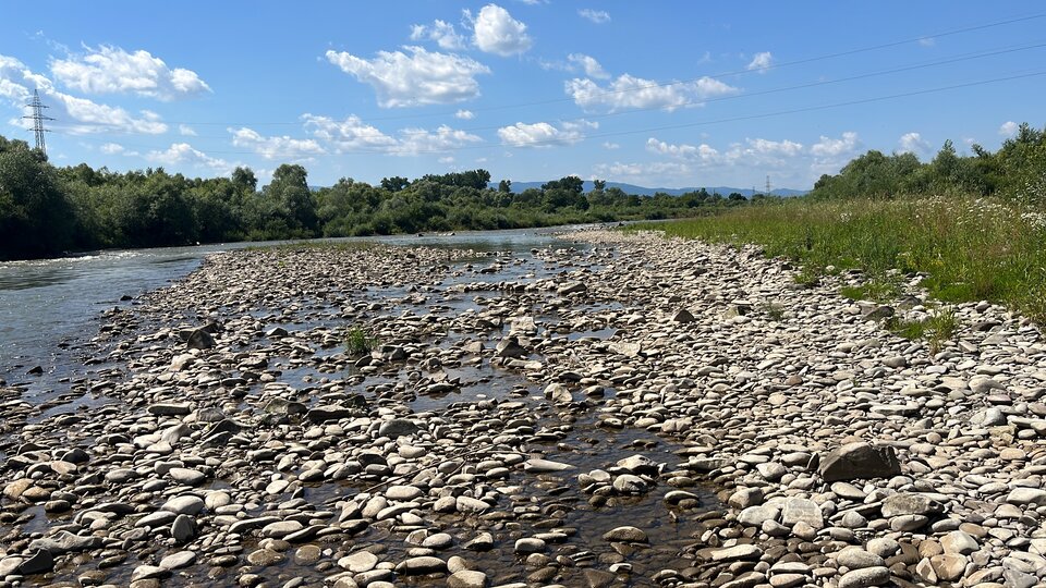 Pozdrowienia z Dunajca :) - Terrens