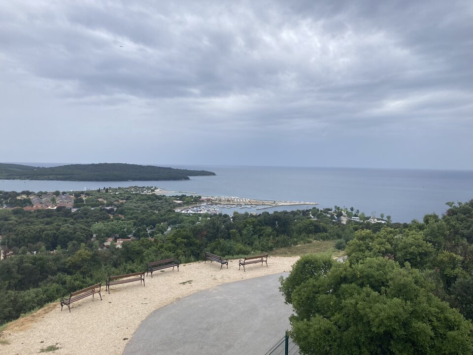 6188BE88-2CD6-42A4-8C96-4AFC2D883700.jpeg - Wicki74