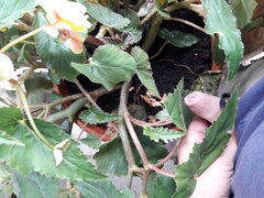 20230716_162220.jpg