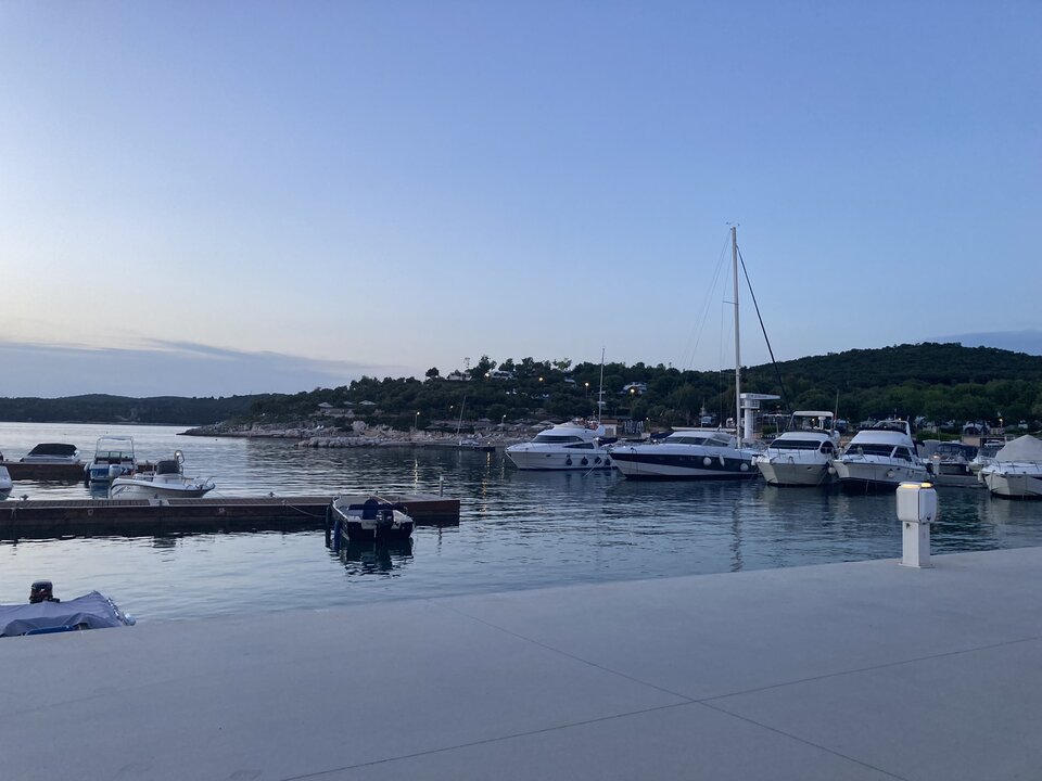 37FC7044-C9AD-4E65-8FF1-26F21CD09645.jpeg - Wicki74