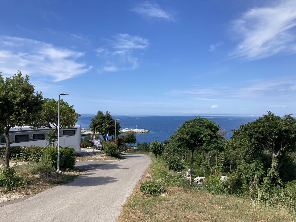 1193887B-55FE-4910-B91D-6A169F019651.jpeg - Wicki74