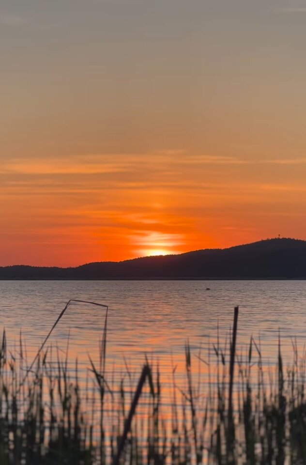 IMG_20230709_002241.jpg - Nicci