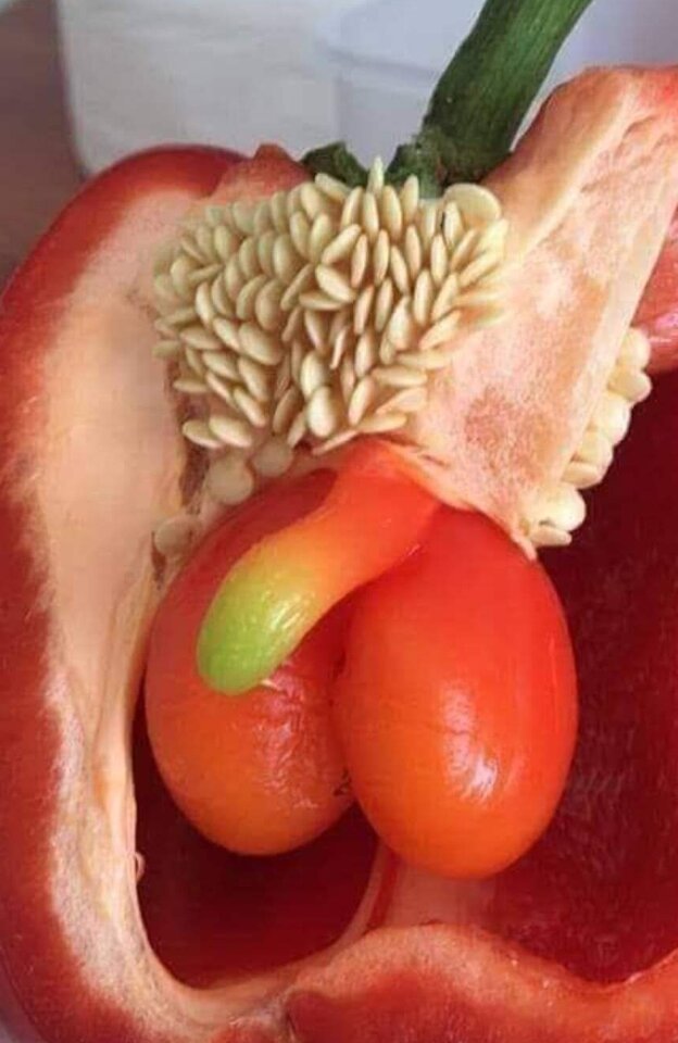 IMG_20230705_002131.jpg - Nicci