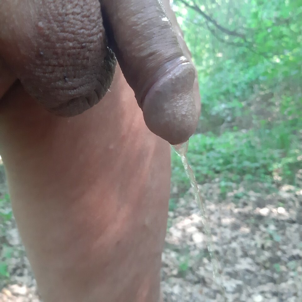 20230716_150652.jpg - Ali70plus