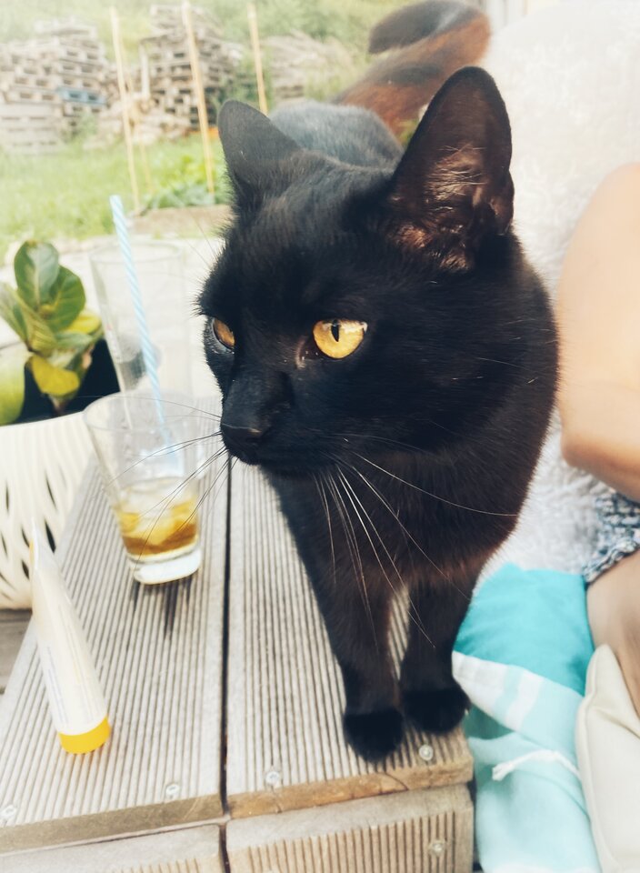 IMG_2029.jpeg - serialowapara19782