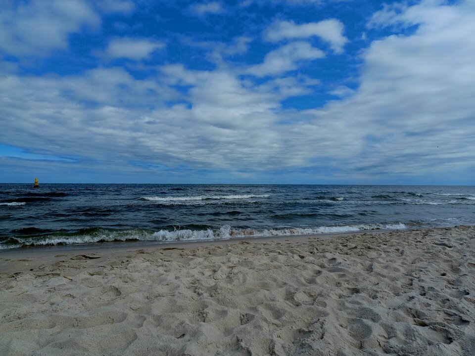 1000003264.jpg - Skorpion750