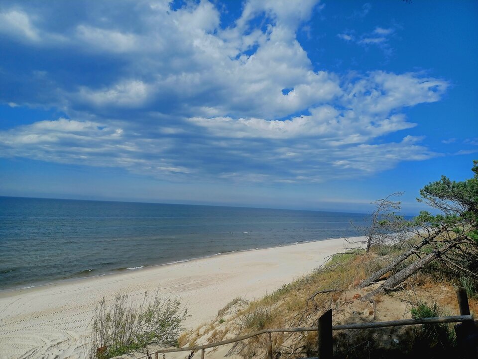 1000003145.jpg - Skorpion750