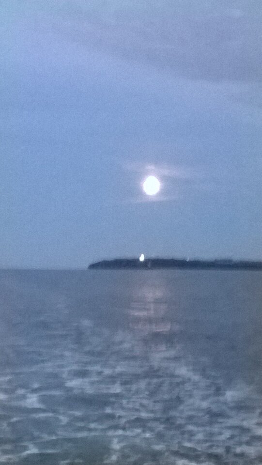 WP_20211018_230.jpg - Ratl