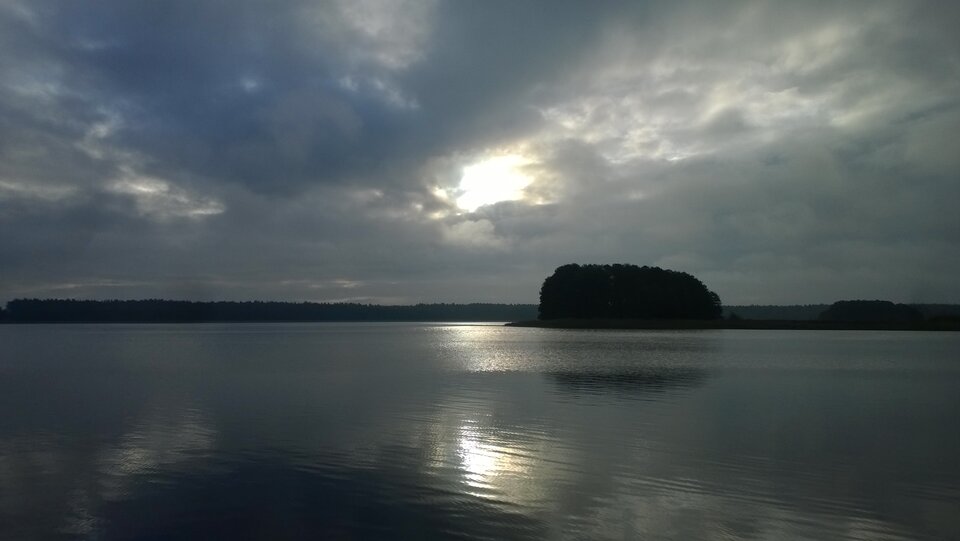 WP_20211013_014.jpg - Ratl