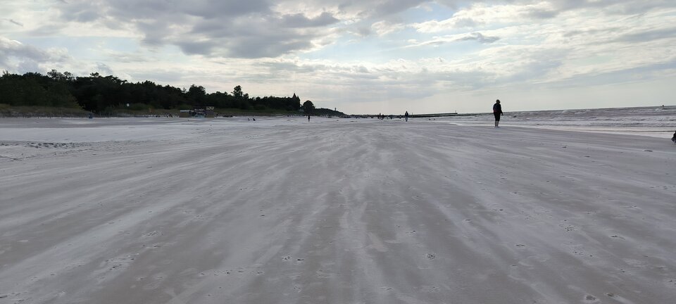 1000001643.jpg - Trucker36