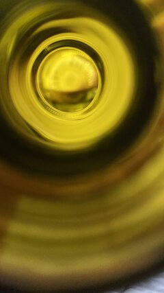 IMG_2382.jpeg