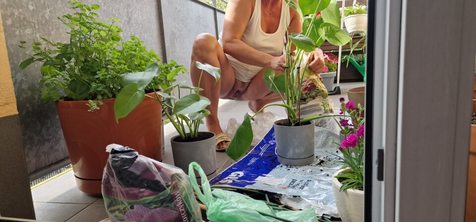 Po plażowaniu przesadzanie kwiatków 🥵 - robert72