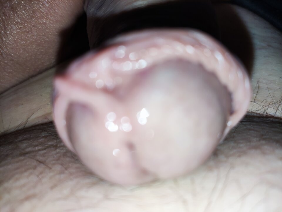 IMG_20230717_190833.jpg - danielchelmza