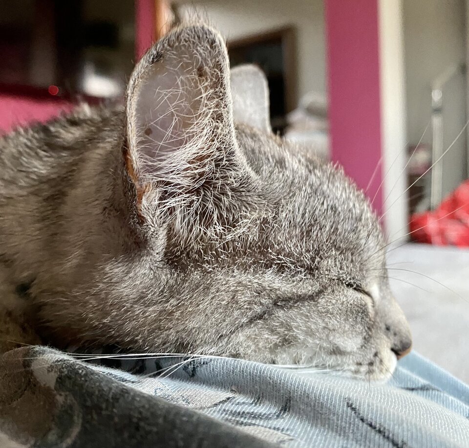 IMG_2038.jpeg - serialowapara19782