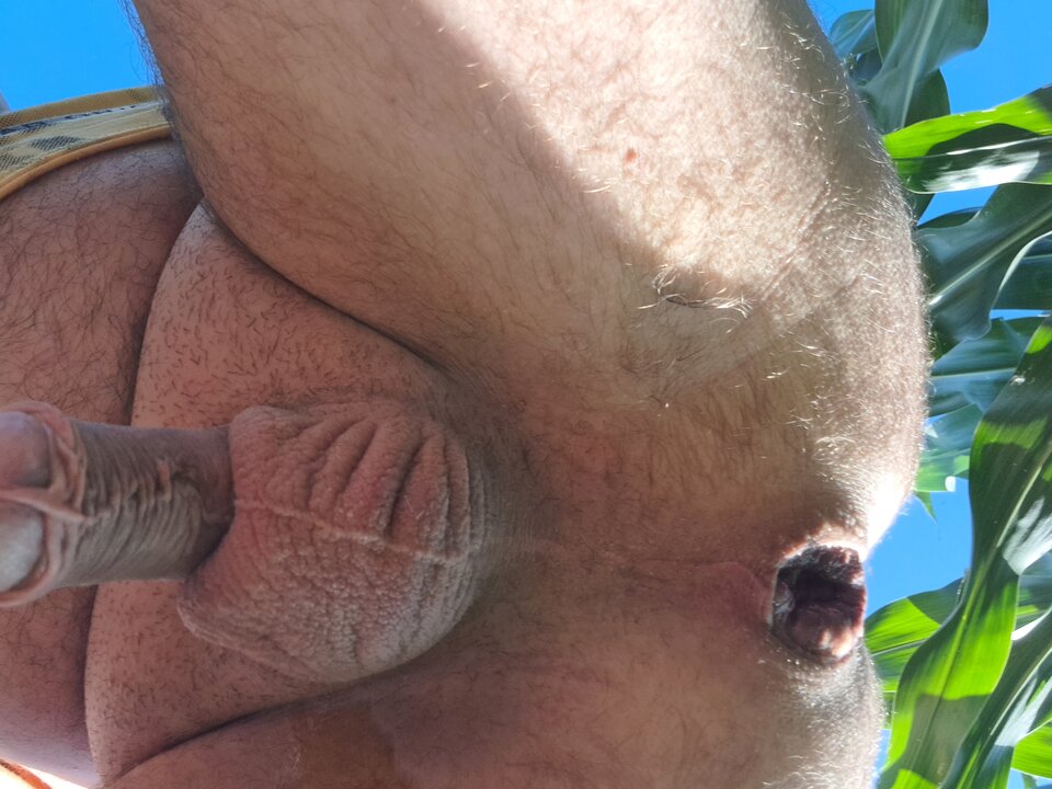 16896593208783081525239790667957.jpg - rafal1410