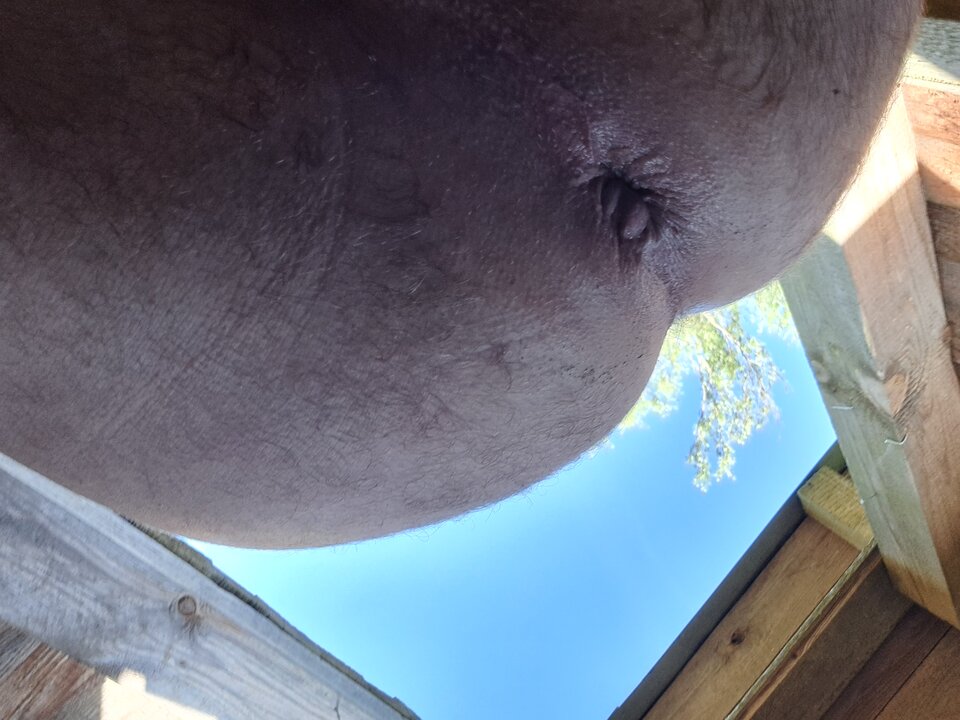 20230718_080351.jpg - rafal1410