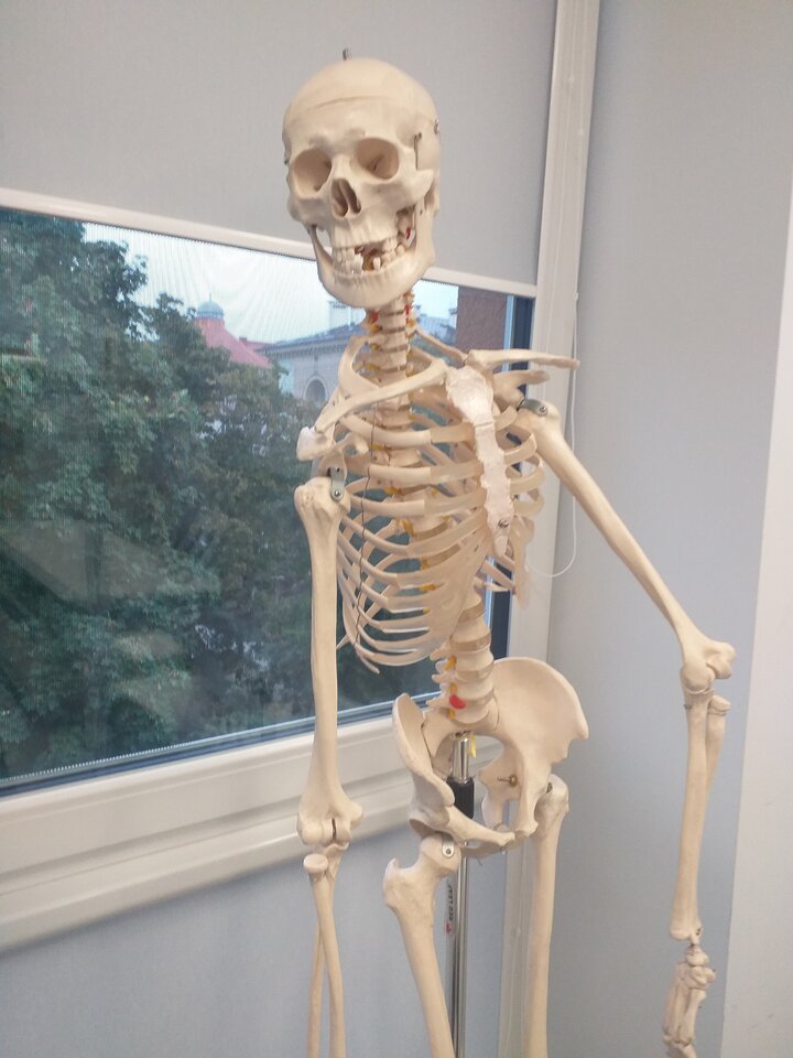 chcą nie chcą musiałem się uczyć każdej kosteczki... - DarMaj71