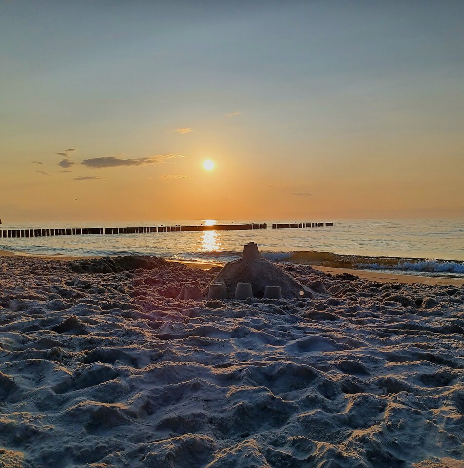 1000003168.jpg - Skorpion750