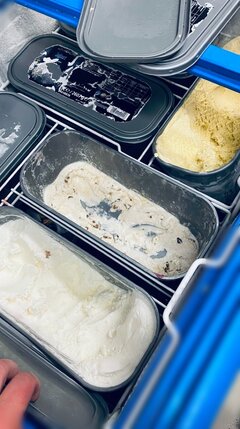 IMG_2645.jpeg