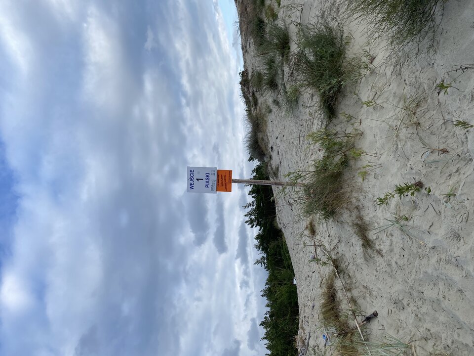 image.jpg - osrtowianin1967