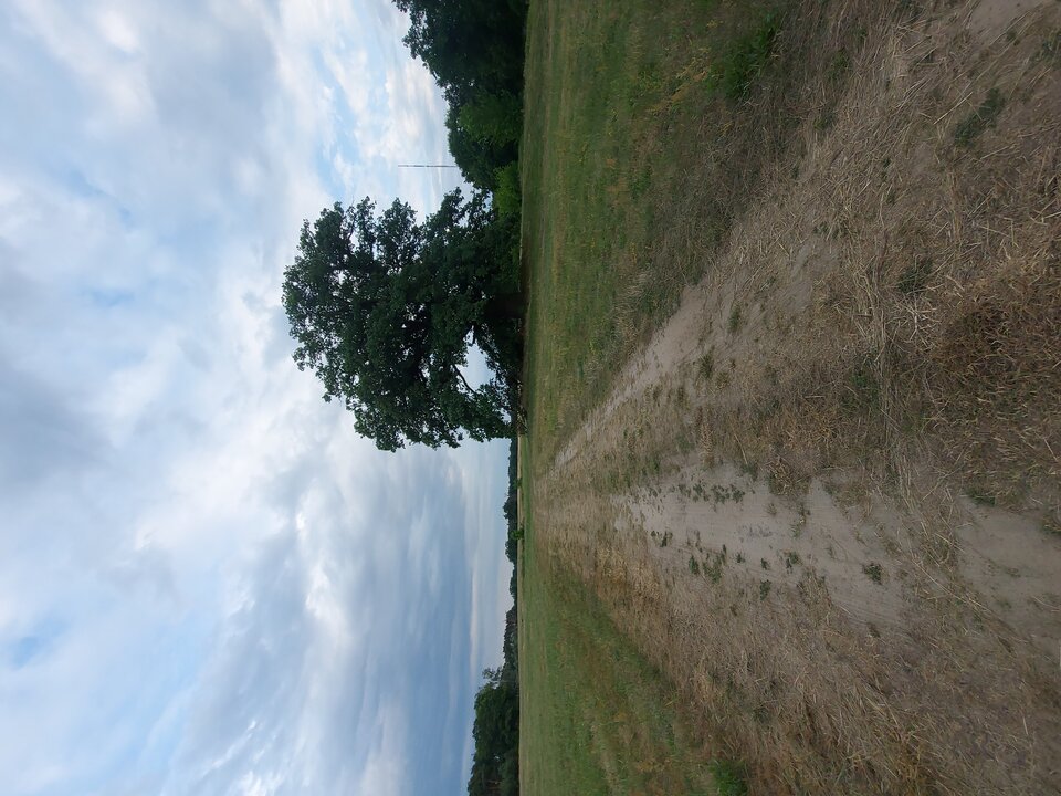 1000010785.jpg - MatiiNatii