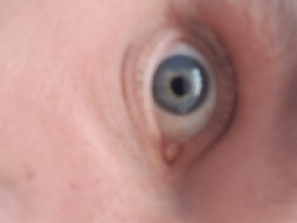 16897887962023351305559649148961.jpg - DiegoBlitzz