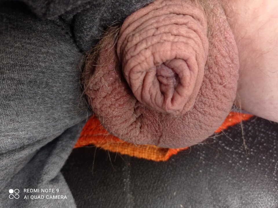 IMG_20230719_134200.jpg - Marko19751