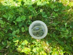 Ktoś chyba coś zgubił..........