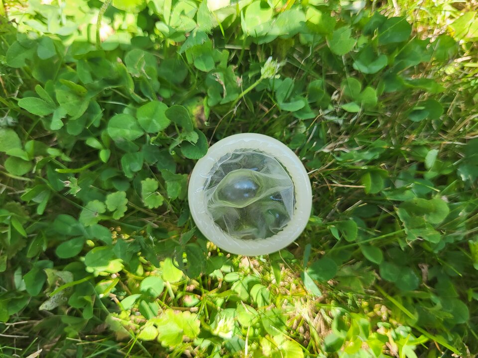 Ktoś chyba coś zgubił.......... - normalnysl