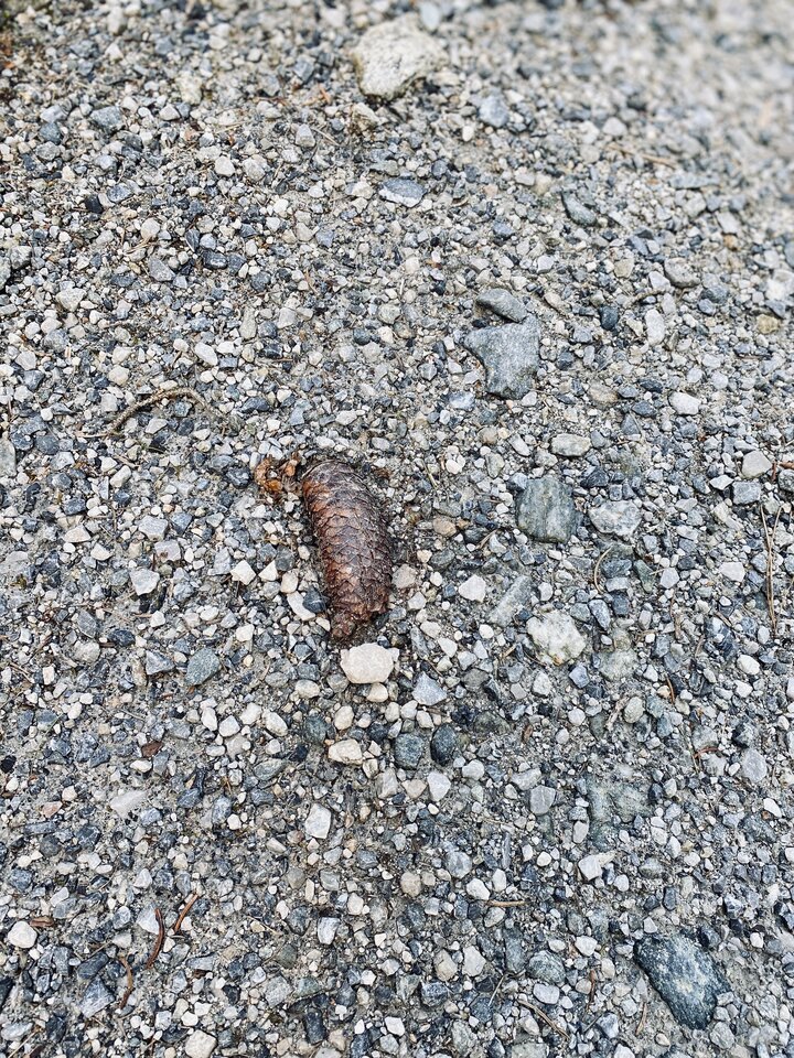 IMG_2743.jpeg - May_Day