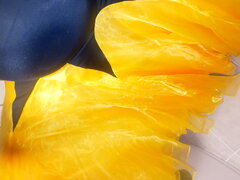 20230720_181437.jpg