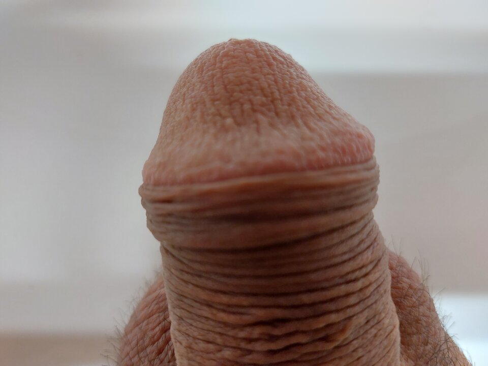 16899033387595777609796554448093.jpg - Szczuply59