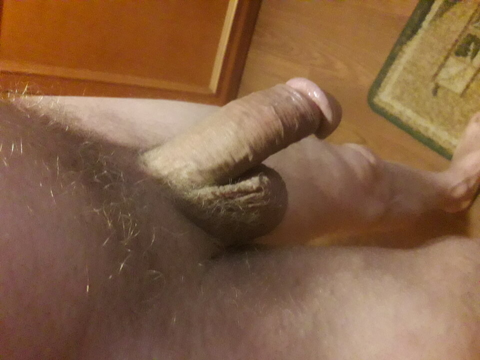 20230720_051741.jpg - brus13