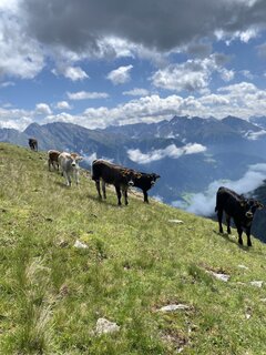 IMG_2707.jpeg