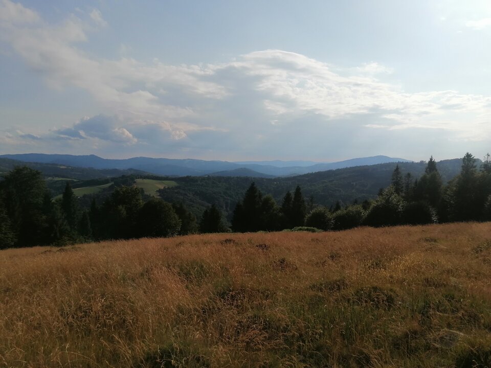 IMG_20230720_175120.jpg - shadow6999