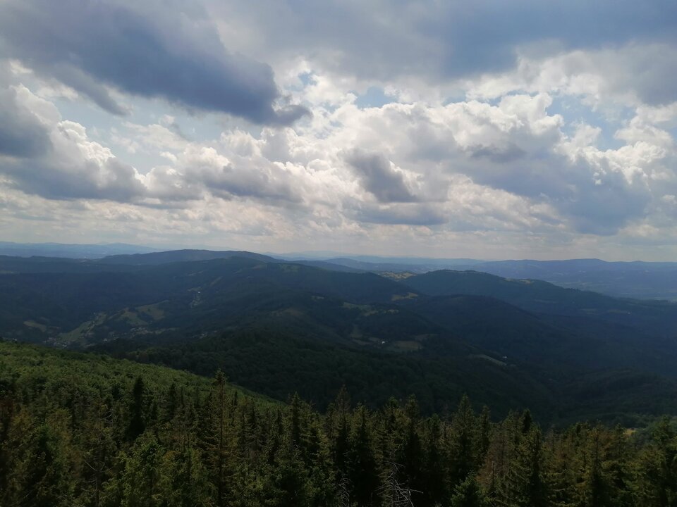 IMG_20230720_123234.jpg - shadow6999