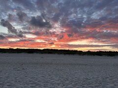 IMG_3803.jpeg