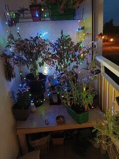 uwielbiam moj balkon wieczorami:)