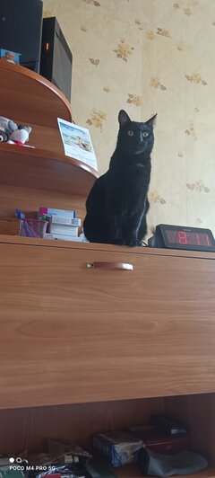 Środek antykoncepcji